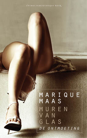 De ontmoeting - Marique Maas De ontmoeting - Marique Maas