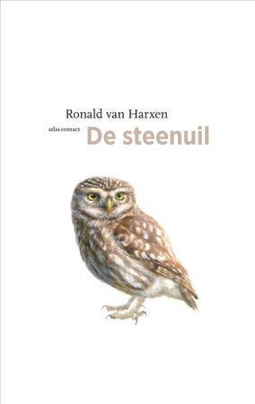 De steenuil - Ronald van Harxen De steenuil - Ronald van Harxen