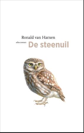 De steenuil - Ronald van Harxen De steenuil - Ronald van Harxen