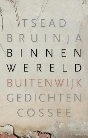Binnenwereld, buitenwijk - Tsead Bruinja