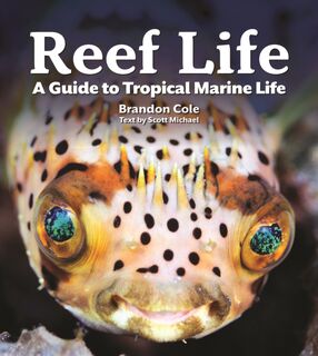 Reef Life - Michael Scott (ISBN 9780228102946)