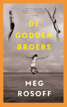 De Godden broers - Meg Rosoff De Godden broers - Meg Rosoff