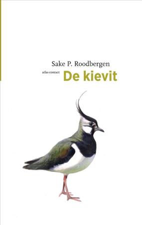 De kievit - Sake P. Roodbergen De kievit - Sake P. Roodbergen