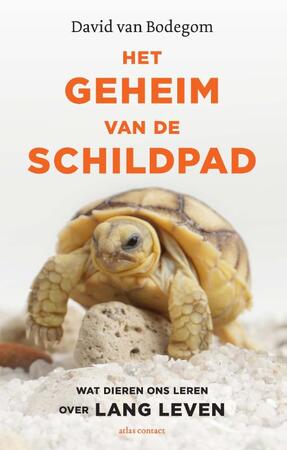 Het geheim van de schildpad - David van Bodegom