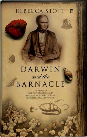 Darwin and the Barnacle - Rebecca Stott