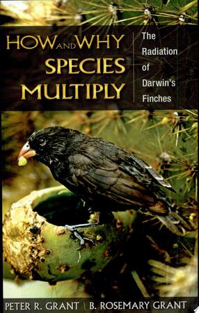 How and why Species Multiply - Peter R. Grant, Department Of Ecology And Evolutionary Biology Peter R Grant, B. Rosemary Grant