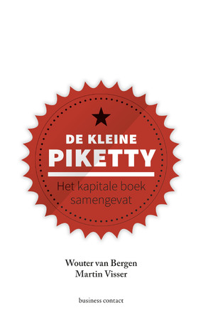 De kleine Piketty - Wouter van Bergen, Martin Visser