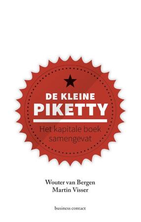 De kleine Piketty - Wouter van Bergen, Martin Visser