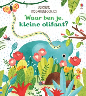 Waar ben je, kleine olifant? (ISBN 9781474943819)