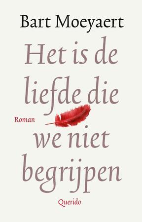 Het is de liefde die we niet begrijpen - Bart Moeyaert Het is de liefde die we niet begrijpen - Bart Moeyaert