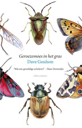Geroezemoes in het gras - Dave Goulson Geroezemoes in het gras - Dave Goulson