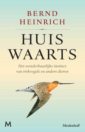 Huiswaarts: het wonderbaarlijke instinct van trekvogels en andere migrerende dieren - Bernd Heinrich Huiswaarts: het wonderbaarlijke instinct van trekvogels en andere migrerende dieren - Bernd Heinrich