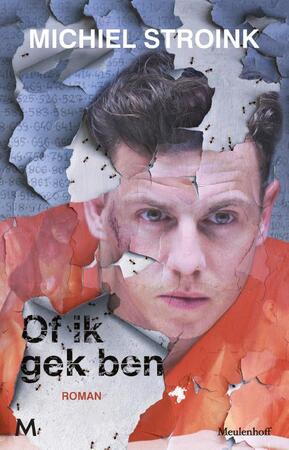 Of ik gek ben - Michiel Stroink