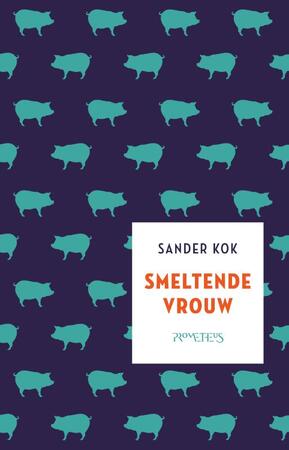 Smeltende vrouw - Sander Kok