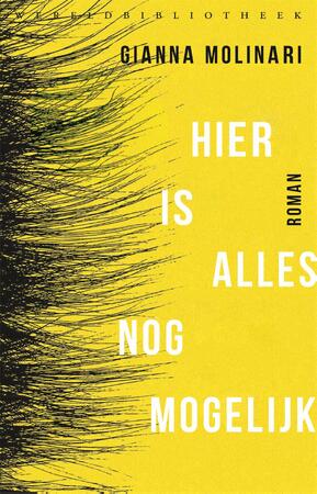 Hier is alles nog mogelijk - Gianna Molinari Hier is alles nog mogelijk - Gianna Molinari