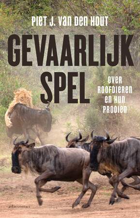Gevaarlijk spel - Piet J. van den Hout Gevaarlijk spel - Piet J. van den Hout