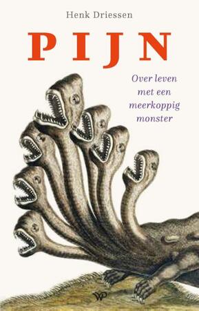 Pijn - Henk Driessen Pijn - Henk Driessen