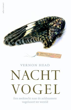 Nachtvogel - Vernon Head