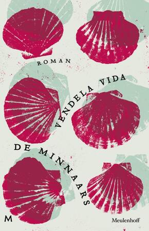 De Minnaars - Vendela Vida