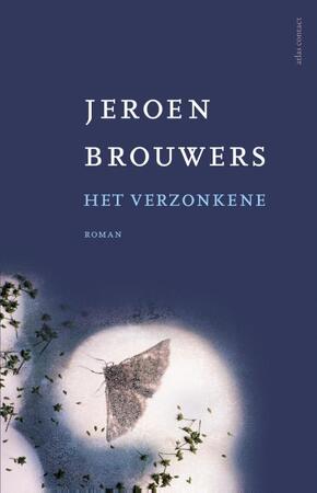 Het verzonkene - Jeroen Brouwers