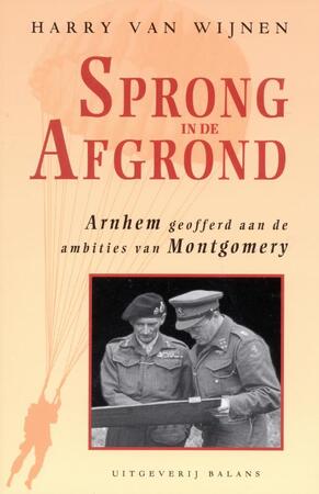 Sprong in de afgrond - Harry van Wijnen
