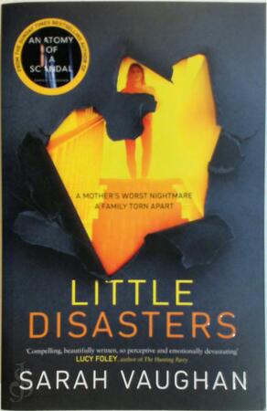 Little disasters - Sarah Vaughan Little disasters - Sarah Vaughan