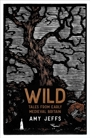 Wild: tales from early medieval britain - Amy Jeffs
