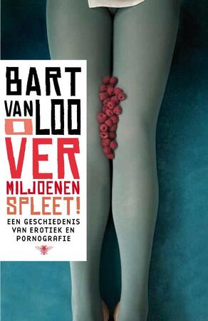 O vermiljoenen spleet - Bart van Loo O vermiljoenen spleet - Bart van Loo