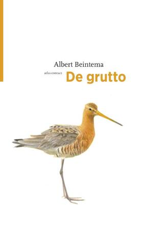 De grutto - Albert Beintema De grutto - Albert Beintema