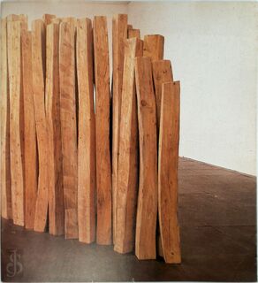 Nicholas Pope - Nicholas Pope, Norbert Lynton, Mariolana Freeth (ISBN 9780901618290)