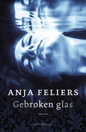 Gebroken glas - Anja Feliers Gebroken glas - Anja Feliers