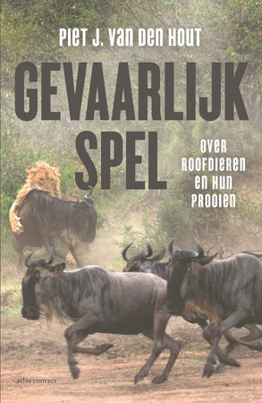Gevaarlijk spel - Piet J. van den Hout