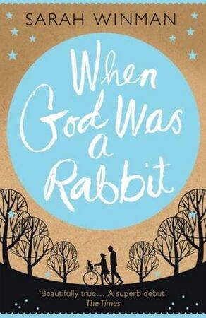 When God Was a Rabbit - Sarah Winman