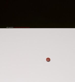 Everyday objects - Vadim Gushchin, Michael Sidlin (ISBN 9789053307922)