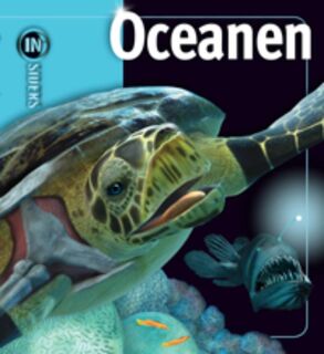 Oceanen