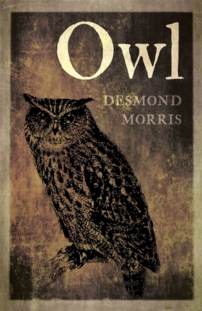 Owl - Desmond Morris Owl - Desmond Morris