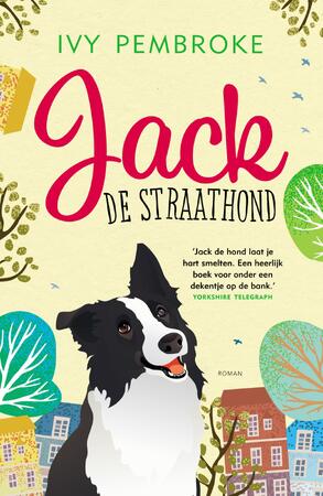 Jack de staathond - Ivy Pembroke Jack de staathond - Ivy Pembroke
