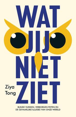 Wat jij niet ziet - Ziya Tong