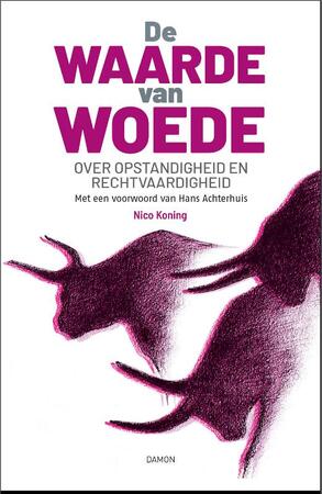 De waarde van woede - Nico Koning, Hans Achterhuis