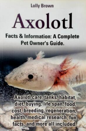 Axolotl: Facts & Information - Lolly Brown