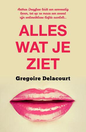 Alles wat je ziet - Grégoire Delacourt