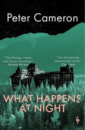What happens at night - Peter Cameron