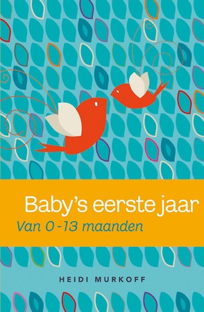 Baby's eerste jaar - Heidi Murkoff