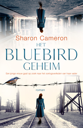 Het Bluebird geheim - Sharon Cameron