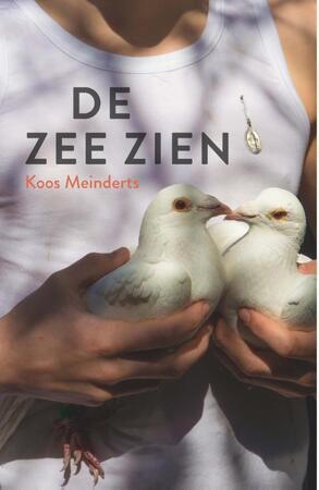 De zee zien - Koos Meinderts