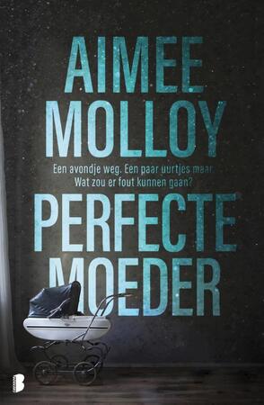 Perfecte moeder - Aimee Molloy Perfecte moeder - Aimee Molloy