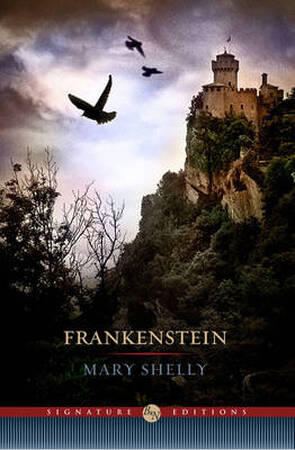 Frankenstein - Mary Shelley Frankenstein - Mary Shelley