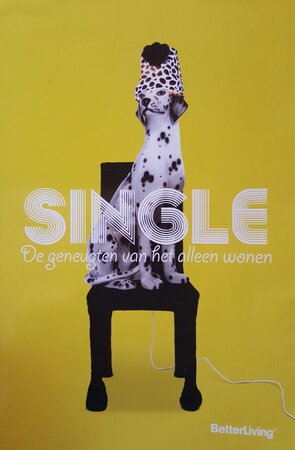 Single. De geneugten van het alleen wonen. - Helen Svensson
