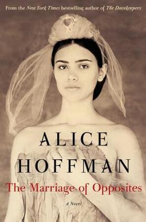 The Marriage of Opposites - Alice Hoffman