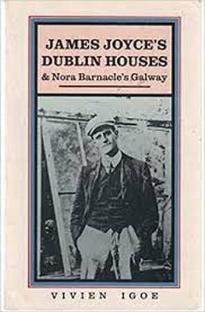 James Joyce's Dublin Houses - Vivien Igoe